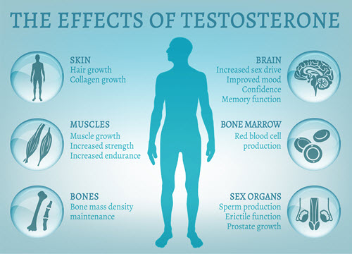 testosterone effects